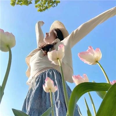 架步搜秘